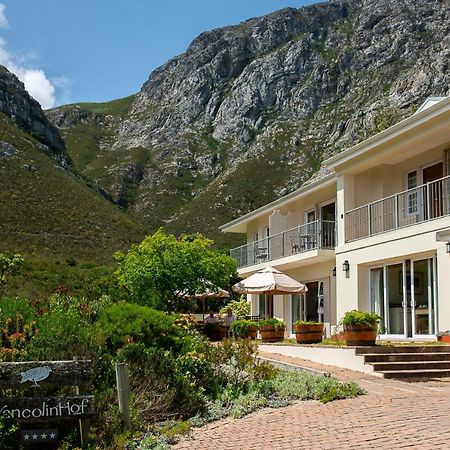 Francolinhof Guest House Hermanus Εξωτερικό φωτογραφία