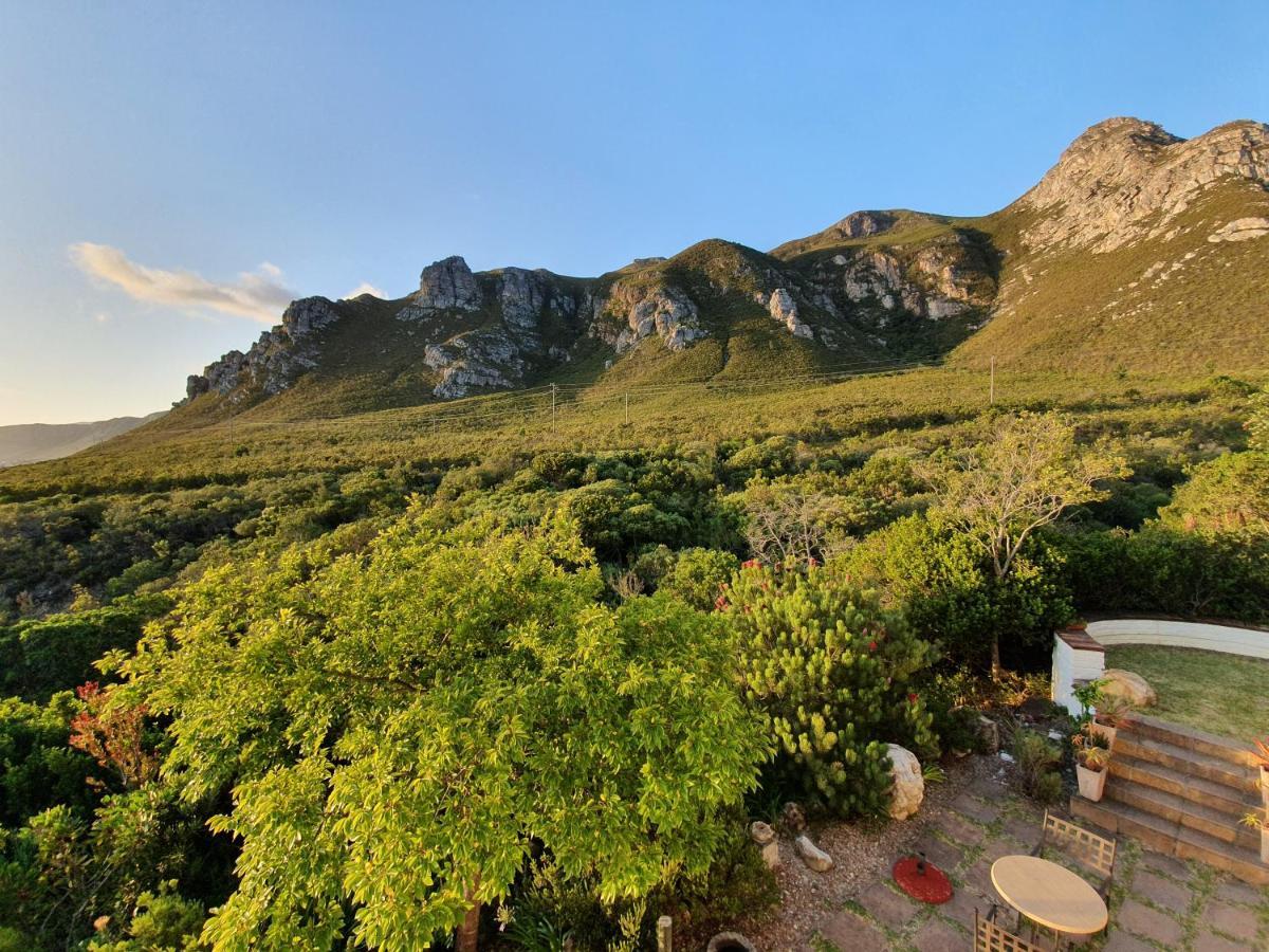 Francolinhof Guest House Hermanus Εξωτερικό φωτογραφία